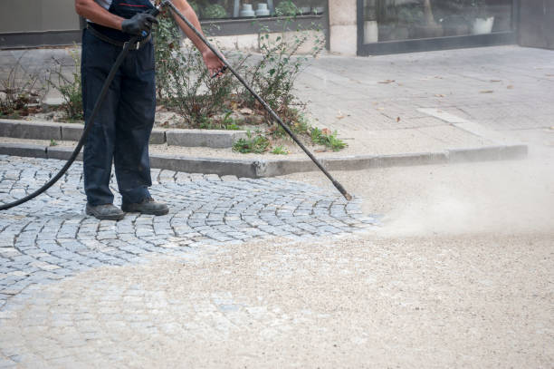Best Roof Washing  in East Pasadena, CA